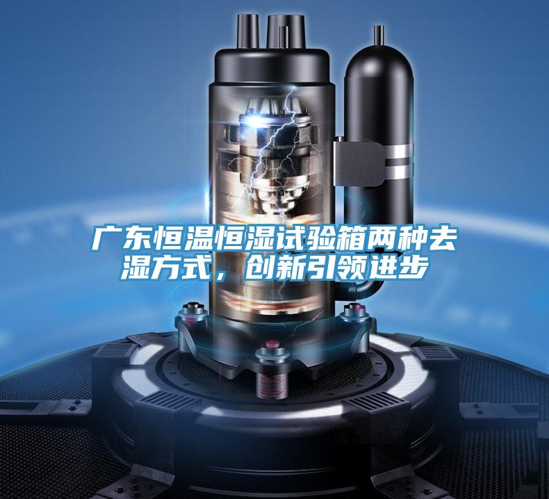 廣東恒溫恒濕試驗箱兩種去濕方式，創(chuàng)新引領進步
