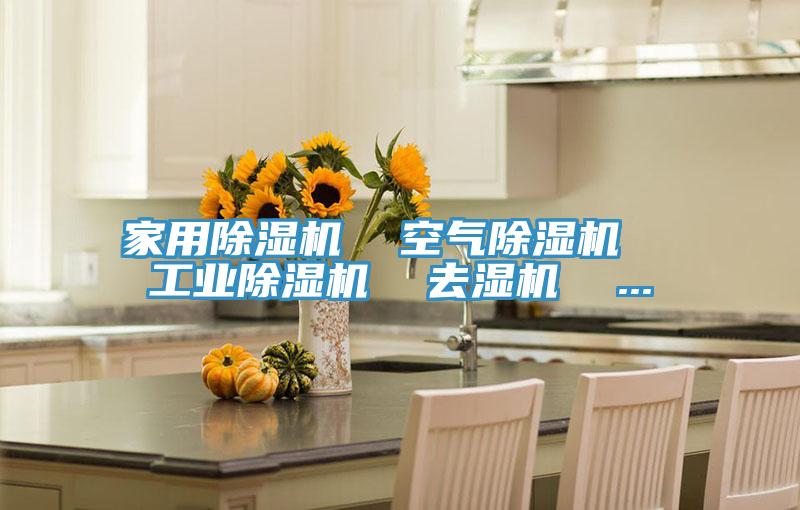 家用除濕機 空氣除濕機 工業除濕機 去濕機 ...