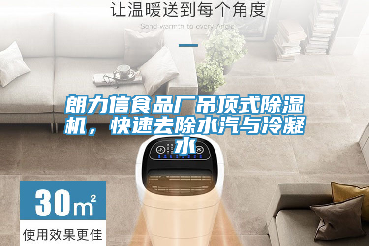 朗力信食品廠吊頂式除濕機(jī),快速去除水汽與冷凝水