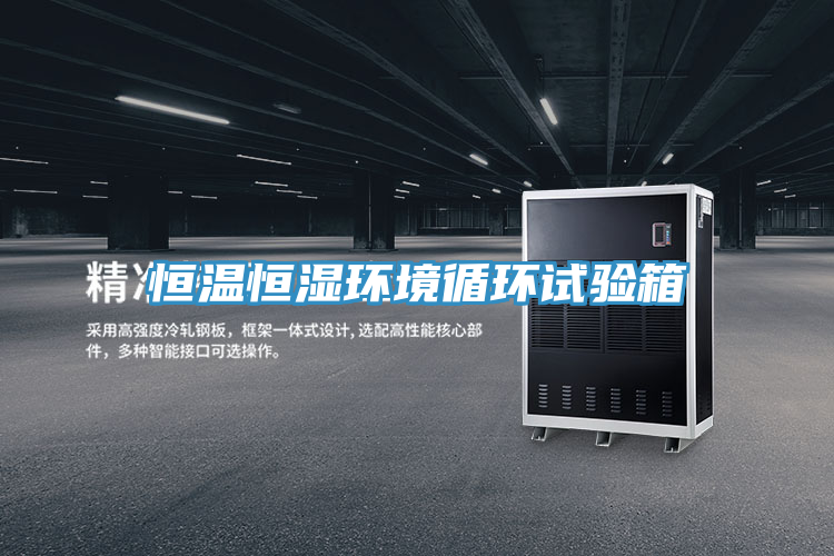 恒溫恒濕環境循環試驗箱