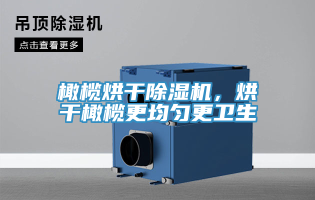 橄欖烘干除濕機,烘干橄欖更均勻更衛生