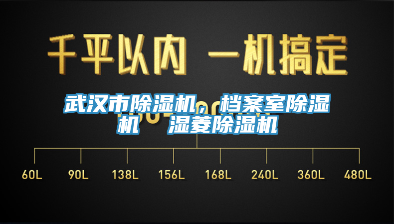 武漢市除濕機(jī),檔案室除濕機(jī) 濕菱除濕機(jī)