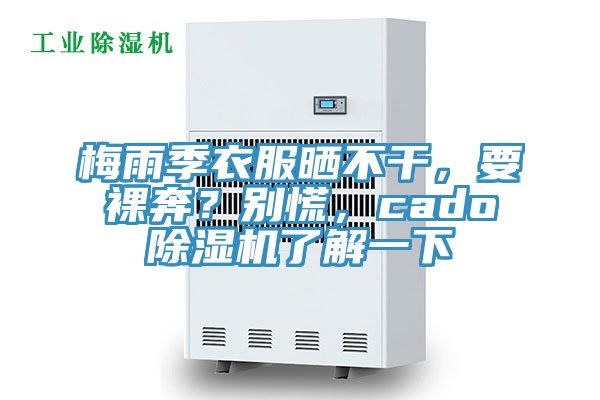 梅雨季衣服曬不干,要裸奔?別慌,cado除濕機了解一下