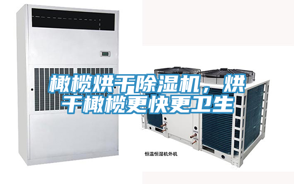 橄欖烘干除濕機,烘干橄欖更快更衛生