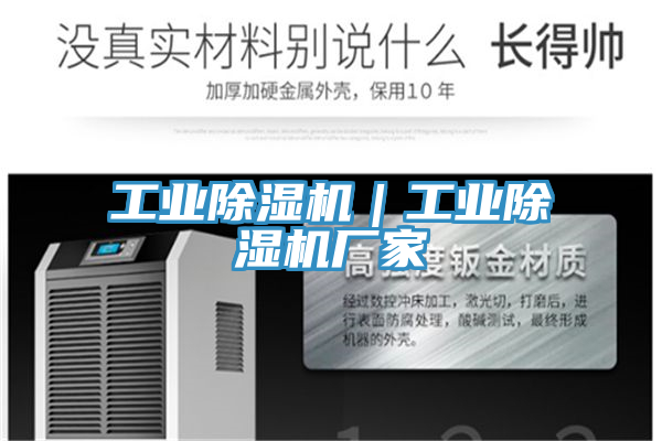 工業(yè)除濕機(jī)｜工業(yè)除濕機(jī)廠(chǎng)家