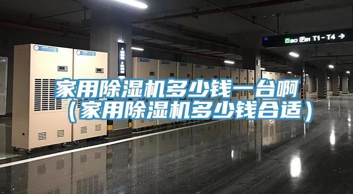 家用除濕機(jī)多少錢一臺?。矣贸凉駲C(jī)多少錢合適）