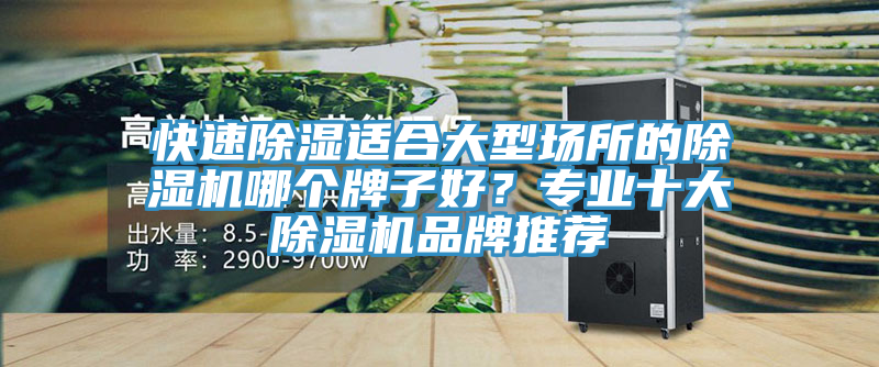 快速除濕適合大型場所的除濕機哪個牌子好？專業十大除濕機品牌推薦