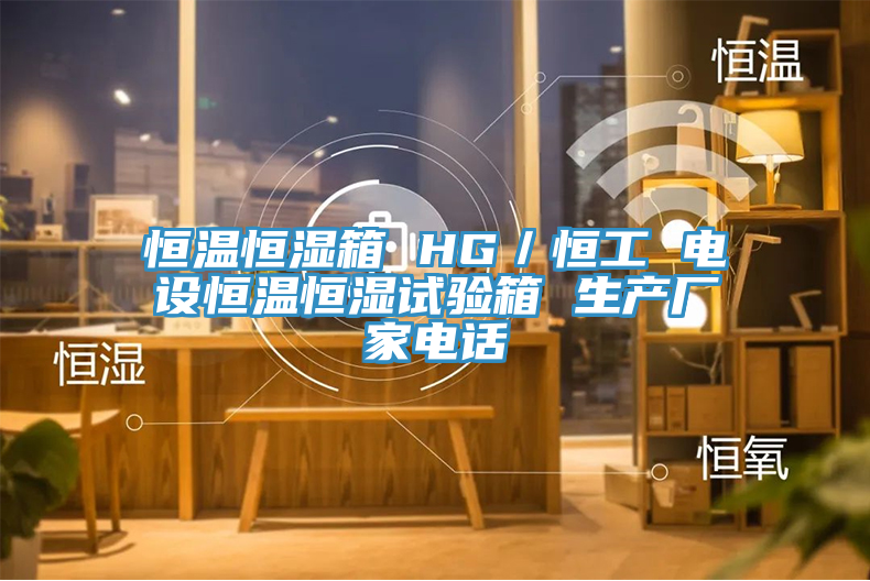 恒溫恒濕箱 HG/恒工 電設恒溫恒濕試驗箱 生產廠家電話