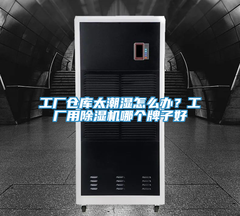 工廠(chǎng)倉(cāng)庫(kù)太潮濕怎么辦？工廠(chǎng)用除濕機(jī)哪個(gè)牌子好