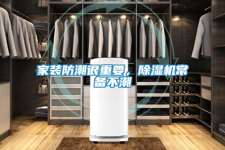 家裝防潮很重要，除濕機常備不潮