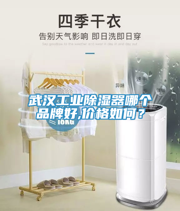 武漢工業(yè)除濕器哪個(gè)品牌好,價(jià)格如何?