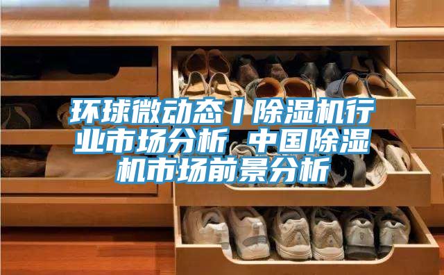 環(huán)球微動(dòng)態(tài)丨除濕機(jī)行業(yè)市場(chǎng)分析 中國除濕機(jī)市場(chǎng)前景分析