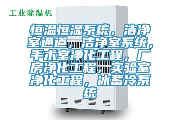 恒溫恒濕系統,潔凈室通道,潔凈室系統,手術室凈化工程,廠房凈化工程,實驗室凈化工程,冰蓄冷系統