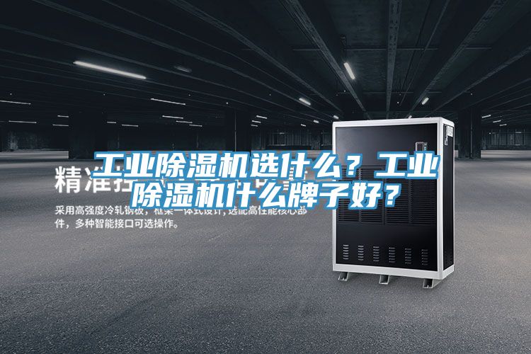 工業除濕機選什么？工業除濕機什么牌子好？