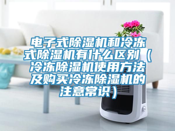 電子式除濕機和冷凍式除濕機有什么區別(冷凍除濕機使用方法及購買冷凍除濕機的注意常識)