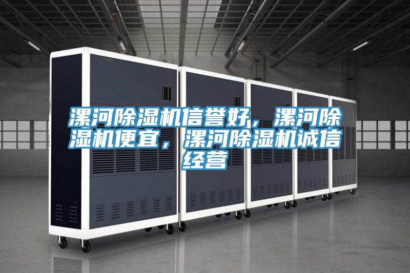 漯河除濕機(jī)信譽(yù)好，漯河除濕機(jī)便宜，漯河除濕機(jī)誠(chéng)信經(jīng)營(yíng)