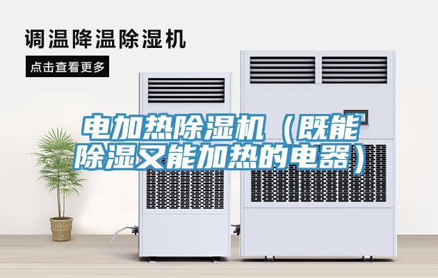 電加熱除濕機(既能除濕又能加熱的電器)