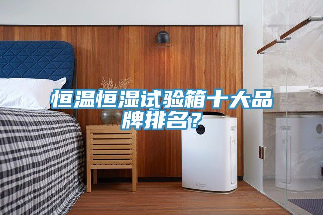 恒溫恒濕試驗箱十大品牌排名?