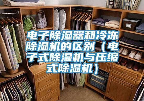 電子除濕器和冷凍除濕機的區別(電子式除濕機與壓縮式除濕機)
