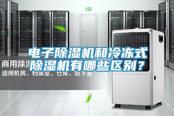 電子除濕機和冷凍式除濕機有哪些區別?