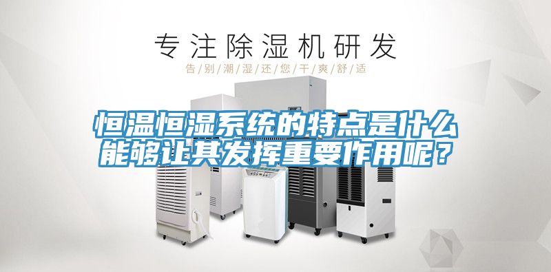 恒溫恒濕系統的特點是什么能夠讓其發揮重要作用呢?
