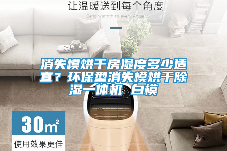 消失模烘干房濕度多少適宜?環保型消失模烘干除濕一體機 白模