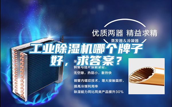 工業除濕機哪個牌子好，求答案？