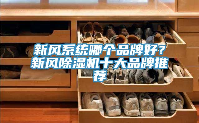 新風系統哪個品牌好？新風除濕機十大品牌推薦