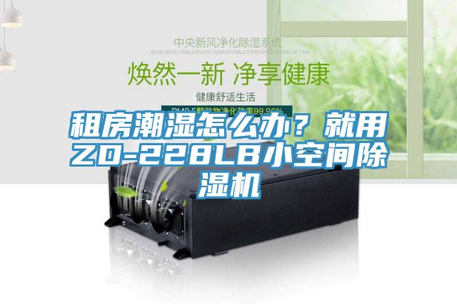 租房潮濕怎么辦?就用ZD-228LB小空間除濕機