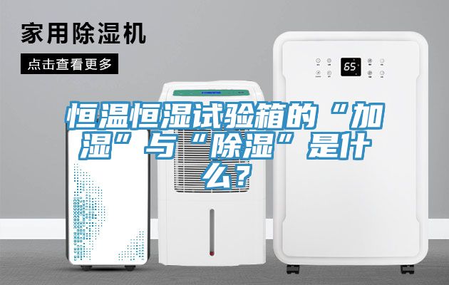 恒溫恒濕試驗(yàn)箱的“加濕”與“除濕”是什么?