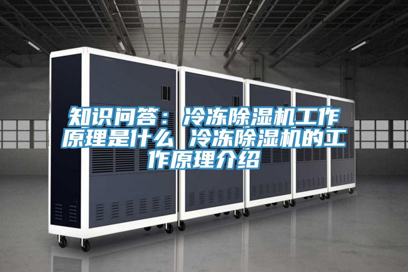 知識問答:冷凍除濕機工作原理是什么 冷凍除濕機的工作原理介紹