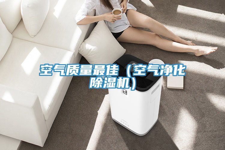 空氣質(zhì)量最佳(空氣凈化除濕機(jī))