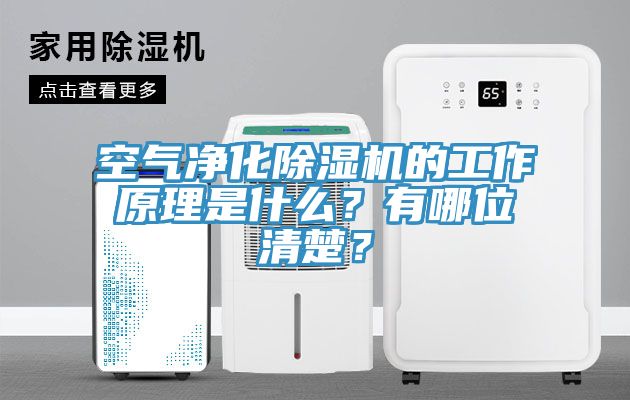 空氣凈化除濕機的工作原理是什么?有哪位清楚?