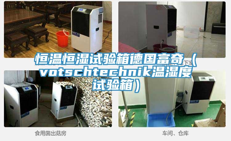 恒溫恒濕試驗箱德國富奇(votschtechnik溫濕度試驗箱)