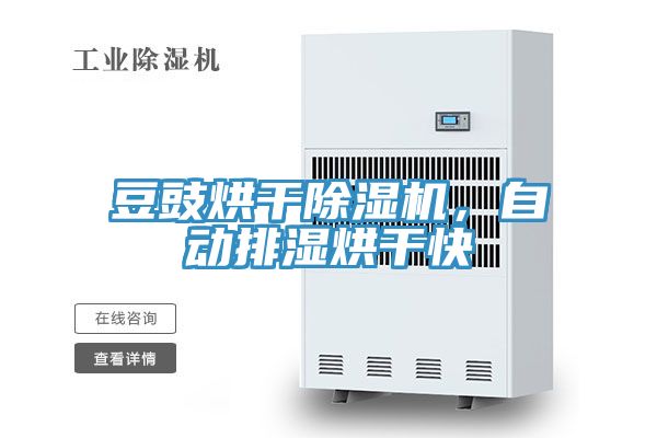 豆豉烘干除濕機，自動排濕烘干快