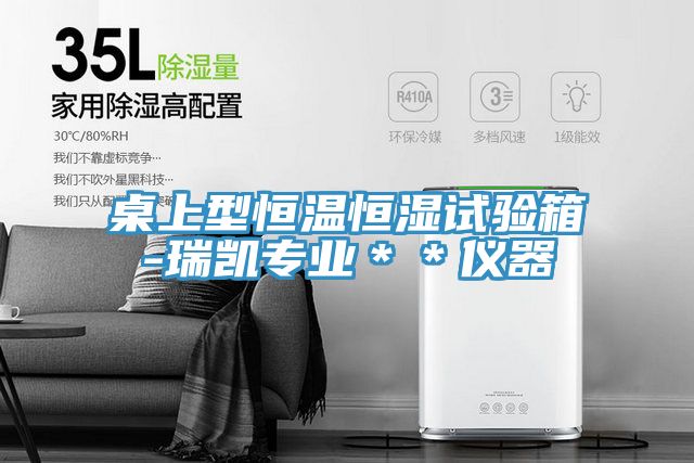 桌上型恒溫恒濕試驗箱-瑞凱專業(yè)**儀器