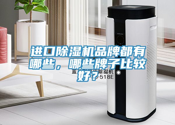 進口除濕機品牌都有哪些，哪些牌子比較好？