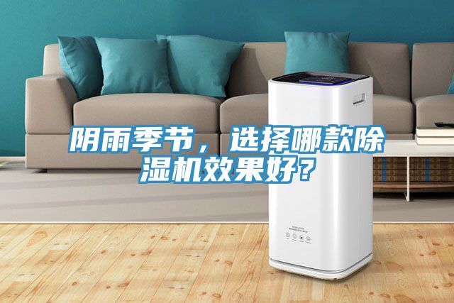 陰雨季節，選擇哪款除濕機效果好？