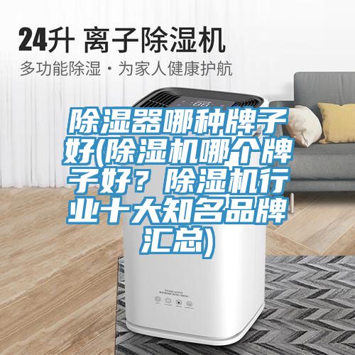 除濕器哪種牌子好(除濕機(jī)哪個(gè)牌子好？除濕機(jī)行業(yè)十大知名品牌匯總)