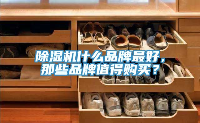 除濕機什么品牌最好，那些品牌值得購買？