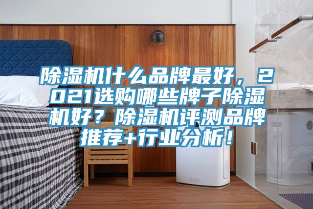 除濕機什么品牌最好，2021選購哪些牌子除濕機好？除濕機評測品牌推薦+行業(yè)分析！