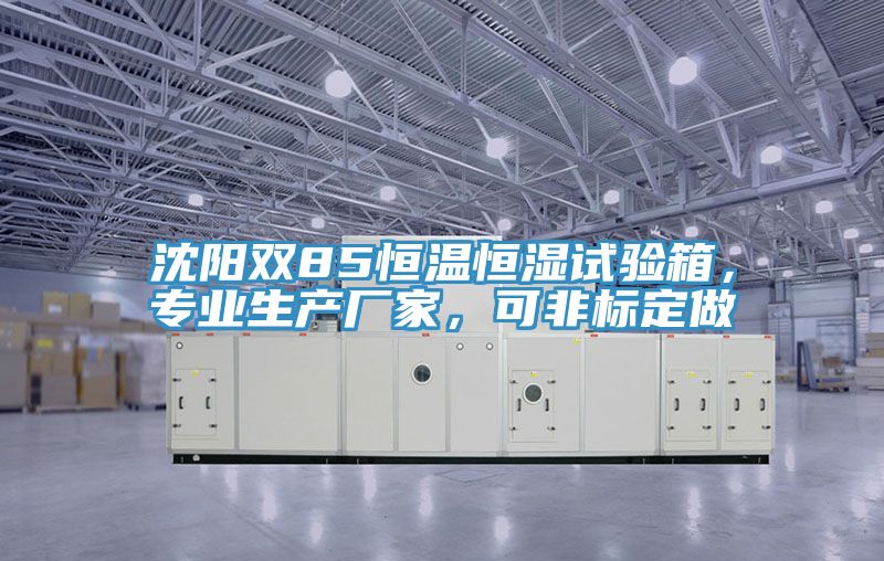 沈陽(yáng)雙85恒溫恒濕試驗(yàn)箱，專(zhuān)業(yè)生產(chǎn)廠家，可非標(biāo)定做