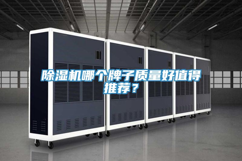 除濕機(jī)哪個牌子質(zhì)量好值得推薦？