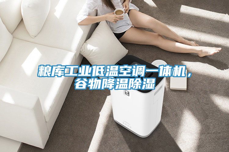 糧庫工業低溫空調一體機，谷物降溫除濕