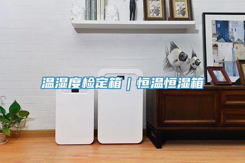 溫濕度檢定箱|恒溫恒濕箱