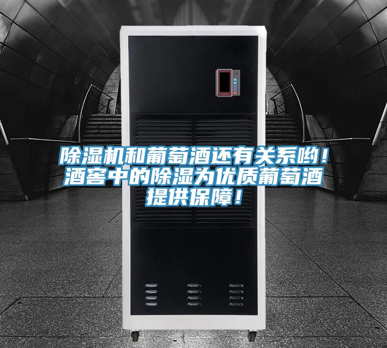 除濕機和葡萄酒還有關系喲！酒窖中的除濕為優(yōu)質葡萄酒提供保障！