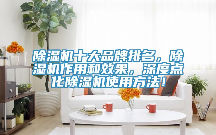 除濕機十大品牌排名，除濕機作用和效果，深度點化除濕機使用方法！