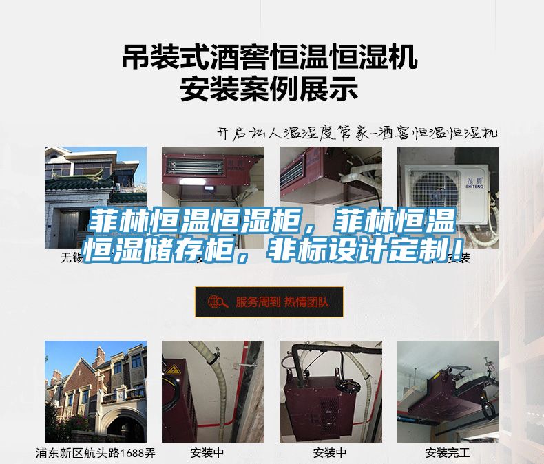 菲林恒溫恒濕柜，菲林恒溫恒濕儲(chǔ)存柜，非標(biāo)設(shè)計(jì)定制！