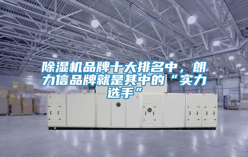 除濕機(jī)品牌十大排名中，朗力信品牌就是其中的“實(shí)力選手”