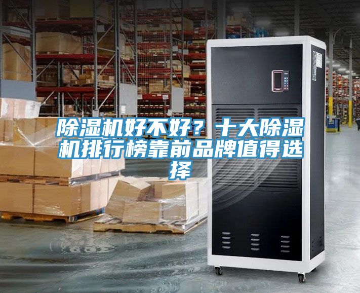 除濕機好不好？十大除濕機排行榜靠前品牌值得選擇